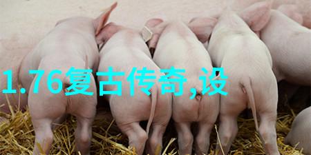 eps线条多少钱一米